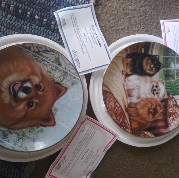 Pomeranian plates - Picture 5 of 6